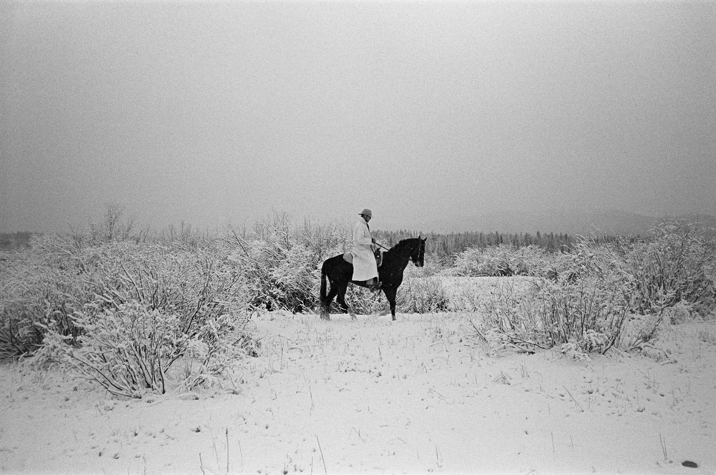 Lone Rider by Alex Moore