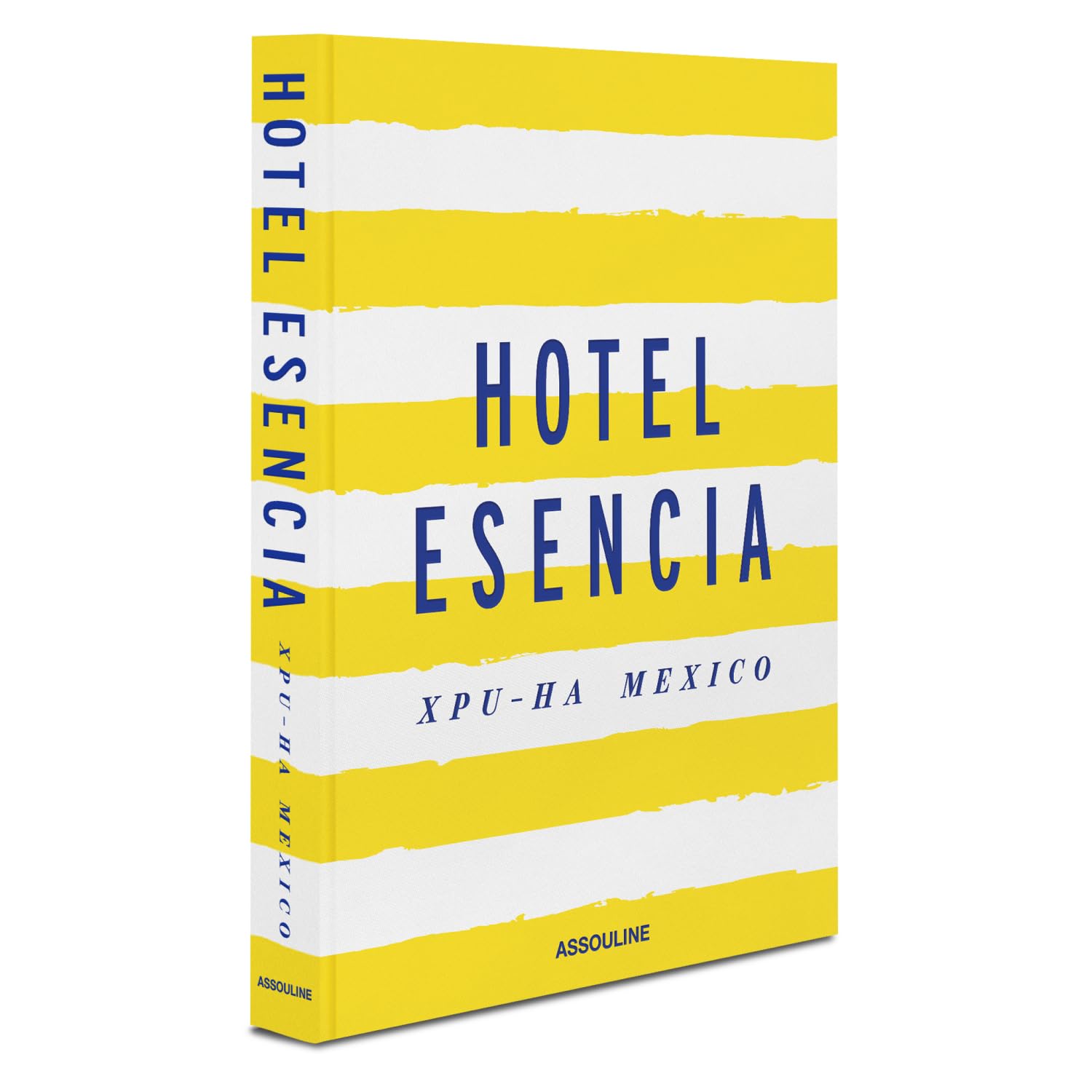 Hotel Esencia