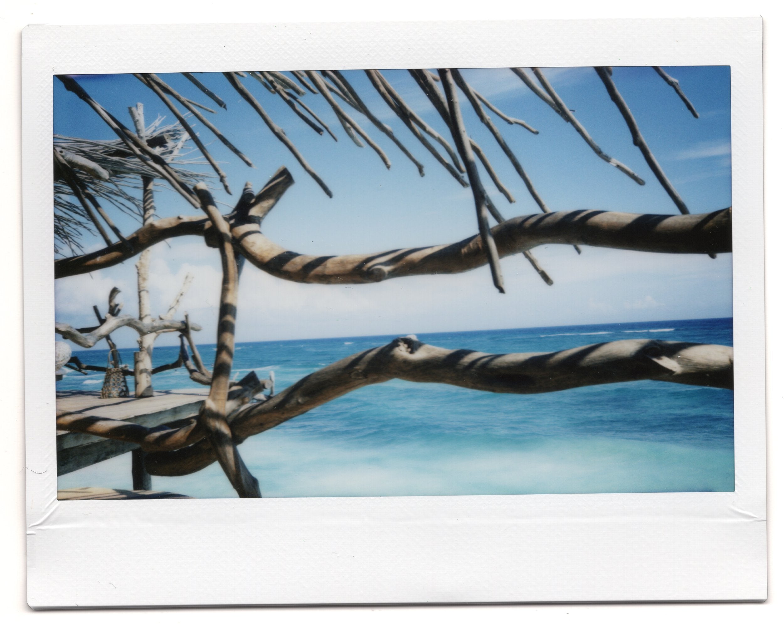 Driftwood by Alex Moore