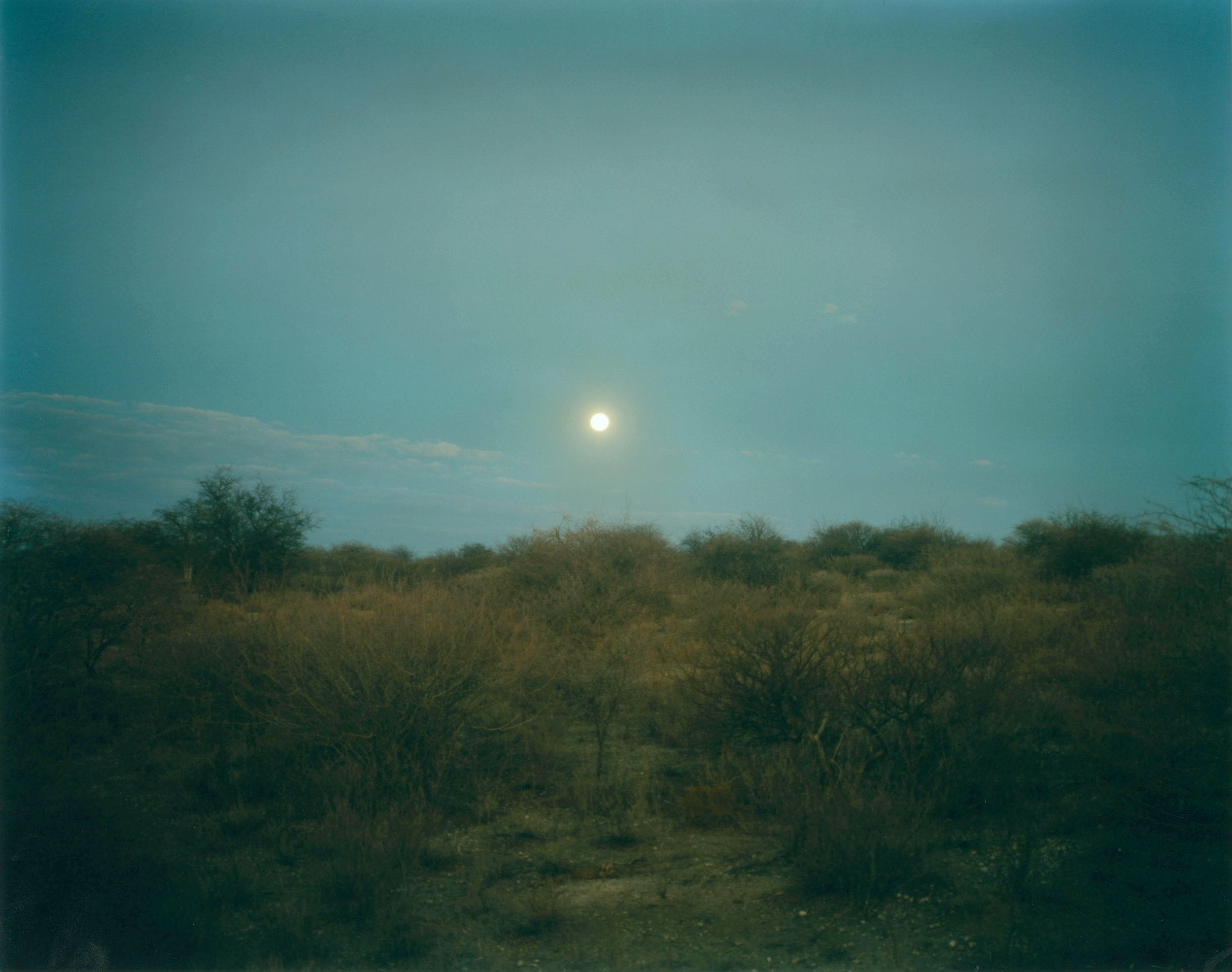 Namibia Fullmoon by Dhagpo Lobsang