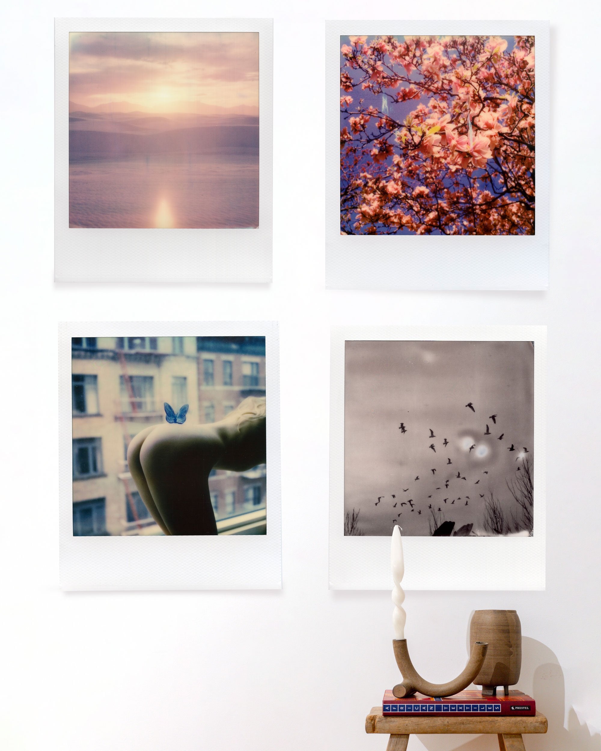 Cherry Blossoms by Alex Moore