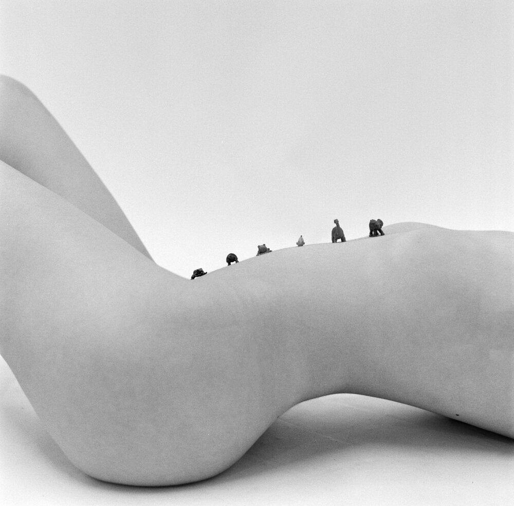 Land Before Time by Alex Moore