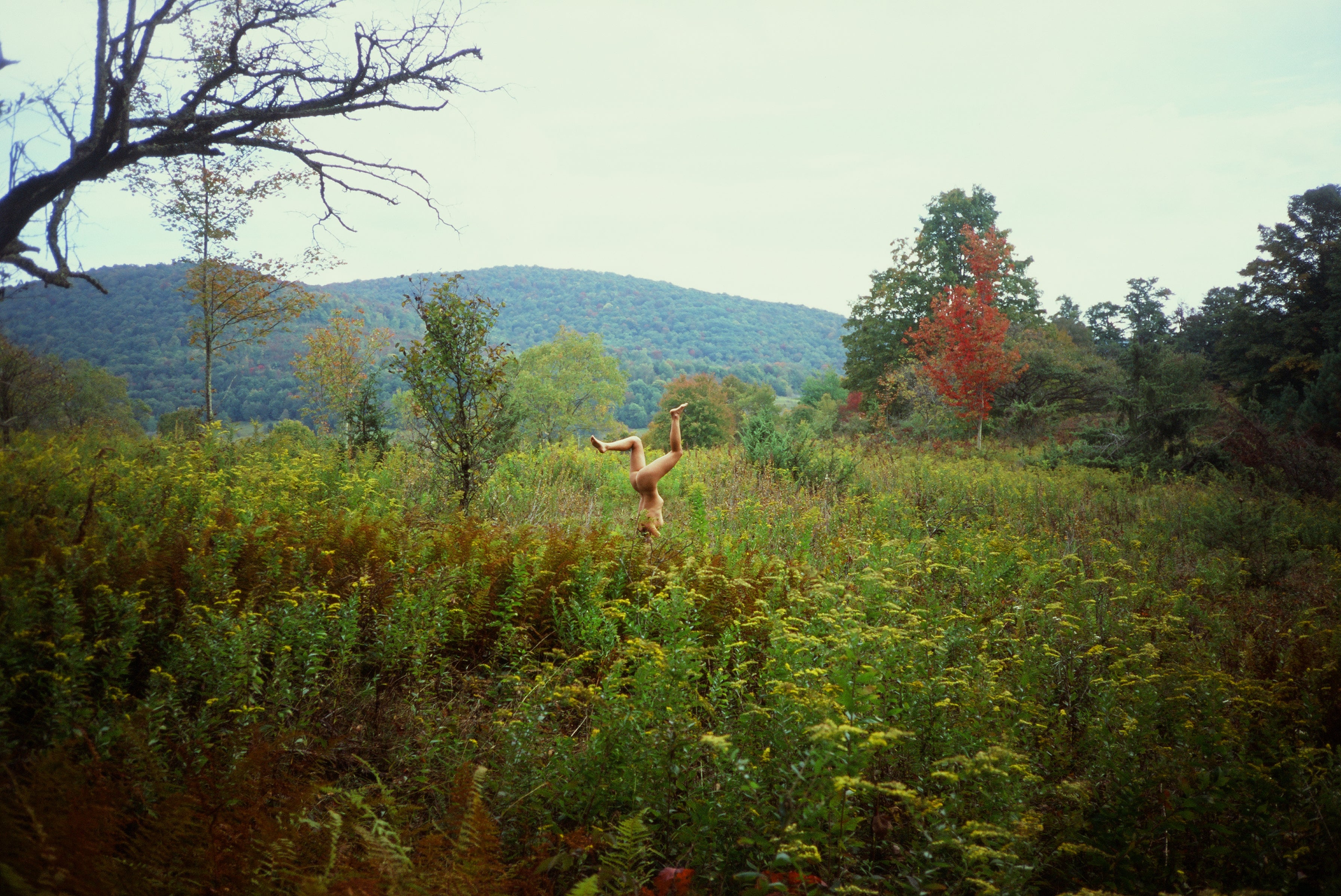 Perspective by Alex Moore