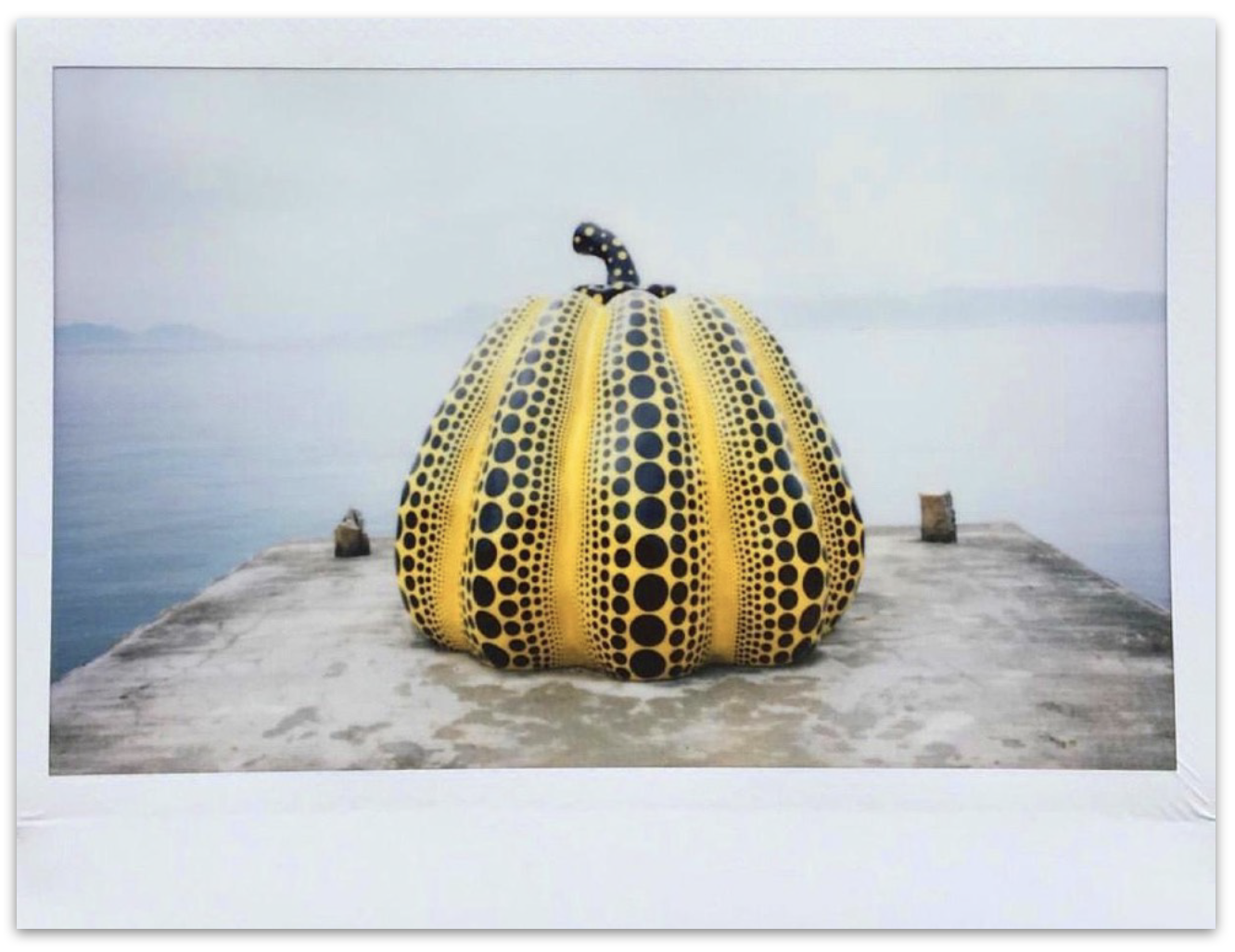 Yellow Pumpkin by Alex Moore